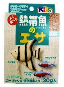 熱帯魚｜老後の楽しみ