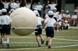 定年後の生活｜孫の運動会