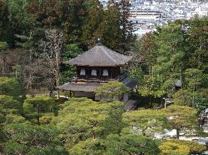 シニア｜銀閣寺